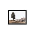 Picture of Tree on a Hill _GroupedProduct_Rectangle_Landscape_Photography _GroupedProduct_Rectangle_Landscape_Framed_Matted_