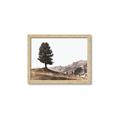 Picture of Tree on a Hill _GroupedProduct_Rectangle_Landscape_Photography _GroupedProduct_Rectangle_Landscape_Framed_Matted_