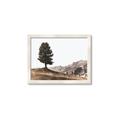 Picture of Tree on a Hill _GroupedProduct_Rectangle_Landscape_Photography _GroupedProduct_Rectangle_Landscape_Framed_Matted_