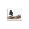 Picture of Tree on a Hill _GroupedProduct_Rectangle_Landscape_Photography _GroupedProduct_Rectangle_Landscape_Framed_Matted_