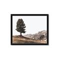 Picture of Tree on a Hill _GroupedProduct_Rectangle_Landscape_Photography _GroupedProduct_Rectangle_Landscape_Framed_Matted_