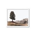 Picture of Tree on a Hill _GroupedProduct_Rectangle_Landscape_Photography _GroupedProduct_Rectangle_Landscape_Framed_Matted_