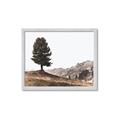 Picture of Tree on a Hill _GroupedProduct_Rectangle_Landscape_Photography _GroupedProduct_Rectangle_Landscape_Framed_Matted_