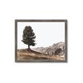 Picture of Tree on a Hill _GroupedProduct_Rectangle_Landscape_Photography _GroupedProduct_Rectangle_Landscape_Framed_Matted_