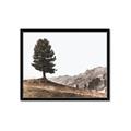 Picture of Tree on a Hill _GroupedProduct_Rectangle_Landscape_Photography _GroupedProduct_Rectangle_Landscape_Framed_Matted_
