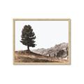 Picture of Tree on a Hill _GroupedProduct_Rectangle_Landscape_Photography _GroupedProduct_Rectangle_Landscape_Framed_Matted_