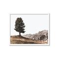 Picture of Tree on a Hill _GroupedProduct_Rectangle_Landscape_Photography _GroupedProduct_Rectangle_Landscape_Framed_Matted_