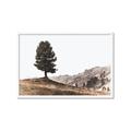 Picture of Tree on a Hill _GroupedProduct_Rectangle_Landscape_Photography _GroupedProduct_Rectangle_Landscape_Framed_Matted_