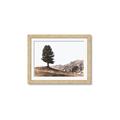 Picture of Tree on a Hill _GroupedProduct_Rectangle_Landscape_Photography _GroupedProduct_Rectangle_Landscape_Framed_Matted_