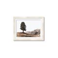 Picture of Tree on a Hill _GroupedProduct_Rectangle_Landscape_Photography _GroupedProduct_Rectangle_Landscape_Framed_Matted_
