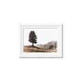 Picture of Tree on a Hill _GroupedProduct_Rectangle_Landscape_Photography _GroupedProduct_Rectangle_Landscape_Framed_Matted_