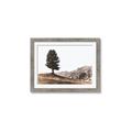 Picture of Tree on a Hill _GroupedProduct_Rectangle_Landscape_Photography _GroupedProduct_Rectangle_Landscape_Framed_Matted_