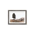 Picture of Tree on a Hill _GroupedProduct_Rectangle_Landscape_Photography _GroupedProduct_Rectangle_Landscape_Framed_Matted_