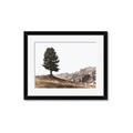 Picture of Tree on a Hill _GroupedProduct_Rectangle_Landscape_Photography _GroupedProduct_Rectangle_Landscape_Framed_Matted_