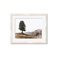 Picture of Tree on a Hill _GroupedProduct_Rectangle_Landscape_Photography _GroupedProduct_Rectangle_Landscape_Framed_Matted_