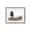 Picture of Tree on a Hill _GroupedProduct_Rectangle_Landscape_Photography _GroupedProduct_Rectangle_Landscape_Framed_Matted_