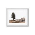 Picture of Tree on a Hill _GroupedProduct_Rectangle_Landscape_Photography _GroupedProduct_Rectangle_Landscape_Framed_Matted_