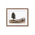 Picture of Tree on a Hill _GroupedProduct_Rectangle_Landscape_Photography _GroupedProduct_Rectangle_Landscape_Framed_Matted_