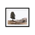 Picture of Tree on a Hill _GroupedProduct_Rectangle_Landscape_Photography _GroupedProduct_Rectangle_Landscape_Framed_Matted_