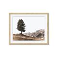 Picture of Tree on a Hill _GroupedProduct_Rectangle_Landscape_Photography _GroupedProduct_Rectangle_Landscape_Framed_Matted_