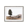 Picture of Tree on a Hill _GroupedProduct_Rectangle_Landscape_Photography _GroupedProduct_Rectangle_Landscape_Framed_Matted_