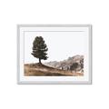 Picture of Tree on a Hill _GroupedProduct_Rectangle_Landscape_Photography _GroupedProduct_Rectangle_Landscape_Framed_Matted_