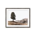 Picture of Tree on a Hill _GroupedProduct_Rectangle_Landscape_Photography _GroupedProduct_Rectangle_Landscape_Framed_Matted_