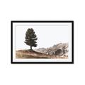 Picture of Tree on a Hill _GroupedProduct_Rectangle_Landscape_Photography _GroupedProduct_Rectangle_Landscape_Framed_Matted_