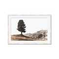 Picture of Tree on a Hill _GroupedProduct_Rectangle_Landscape_Photography _GroupedProduct_Rectangle_Landscape_Framed_Matted_
