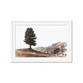 Picture of Tree on a Hill _GroupedProduct_Rectangle_Landscape_Photography _GroupedProduct_Rectangle_Landscape_Framed_Matted_