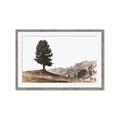 Picture of Tree on a Hill _GroupedProduct_Rectangle_Landscape_Photography _GroupedProduct_Rectangle_Landscape_Framed_Matted_