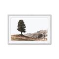 Picture of Tree on a Hill _GroupedProduct_Rectangle_Landscape_Photography _GroupedProduct_Rectangle_Landscape_Framed_Matted_