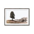 Picture of Tree on a Hill _GroupedProduct_Rectangle_Landscape_Photography _GroupedProduct_Rectangle_Landscape_Framed_Matted_
