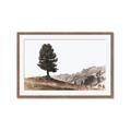 Picture of Tree on a Hill _GroupedProduct_Rectangle_Landscape_Photography _GroupedProduct_Rectangle_Landscape_Framed_Matted_