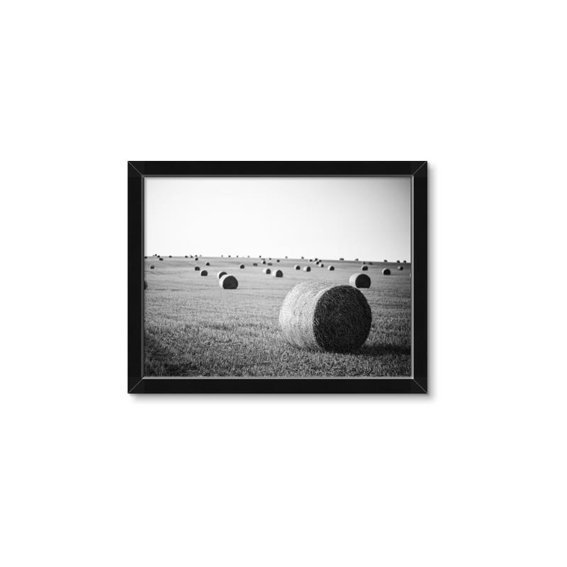 Picture of Hay Bails _GroupedProduct_Rectangle_Landscape_Photography _GroupedProduct_Rectangle_Landscape_Framed_Matted_