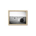 Picture of Hay Bails _GroupedProduct_Rectangle_Landscape_Photography _GroupedProduct_Rectangle_Landscape_Framed_Matted_
