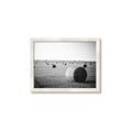 Picture of Hay Bails _GroupedProduct_Rectangle_Landscape_Photography _GroupedProduct_Rectangle_Landscape_Framed_Matted_