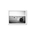 Picture of Hay Bails _GroupedProduct_Rectangle_Landscape_Photography _GroupedProduct_Rectangle_Landscape_Framed_Matted_