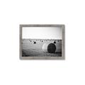 Picture of Hay Bails _GroupedProduct_Rectangle_Landscape_Photography _GroupedProduct_Rectangle_Landscape_Framed_Matted_