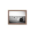 Picture of Hay Bails _GroupedProduct_Rectangle_Landscape_Photography _GroupedProduct_Rectangle_Landscape_Framed_Matted_