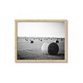Picture of Hay Bails _GroupedProduct_Rectangle_Landscape_Photography _GroupedProduct_Rectangle_Landscape_Framed_Matted_