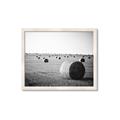 Picture of Hay Bails _GroupedProduct_Rectangle_Landscape_Photography _GroupedProduct_Rectangle_Landscape_Framed_Matted_
