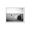 Picture of Hay Bails _GroupedProduct_Rectangle_Landscape_Photography _GroupedProduct_Rectangle_Landscape_Framed_Matted_