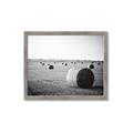 Picture of Hay Bails _GroupedProduct_Rectangle_Landscape_Photography _GroupedProduct_Rectangle_Landscape_Framed_Matted_