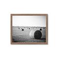Picture of Hay Bails _GroupedProduct_Rectangle_Landscape_Photography _GroupedProduct_Rectangle_Landscape_Framed_Matted_