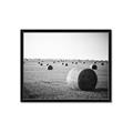 Picture of Hay Bails _GroupedProduct_Rectangle_Landscape_Photography _GroupedProduct_Rectangle_Landscape_Framed_Matted_