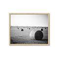 Picture of Hay Bails _GroupedProduct_Rectangle_Landscape_Photography _GroupedProduct_Rectangle_Landscape_Framed_Matted_