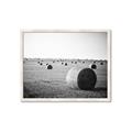 Picture of Hay Bails _GroupedProduct_Rectangle_Landscape_Photography _GroupedProduct_Rectangle_Landscape_Framed_Matted_