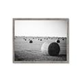 Picture of Hay Bails _GroupedProduct_Rectangle_Landscape_Photography _GroupedProduct_Rectangle_Landscape_Framed_Matted_