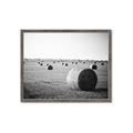 Picture of Hay Bails _GroupedProduct_Rectangle_Landscape_Photography _GroupedProduct_Rectangle_Landscape_Framed_Matted_